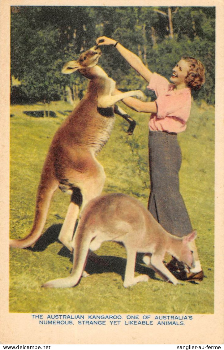 CPA AUSTRALIE / THE AUSTRALIAN KANGAROO - Autres & Non Classés