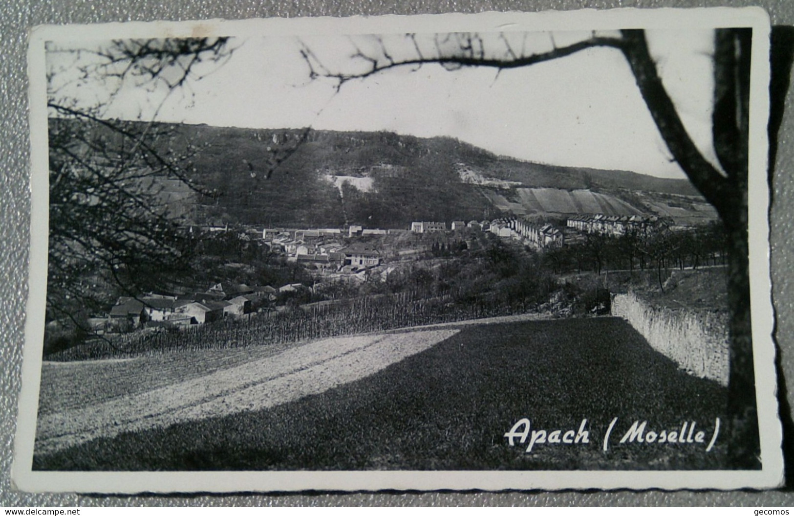 57 - APACH (Moselle) - Other & Unclassified