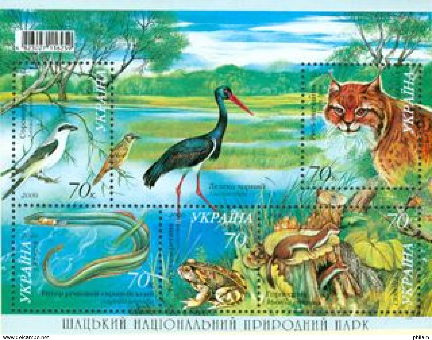 UKRAINE 2006 - Parc National De Shatsk - BF - Storks & Long-legged Wading Birds