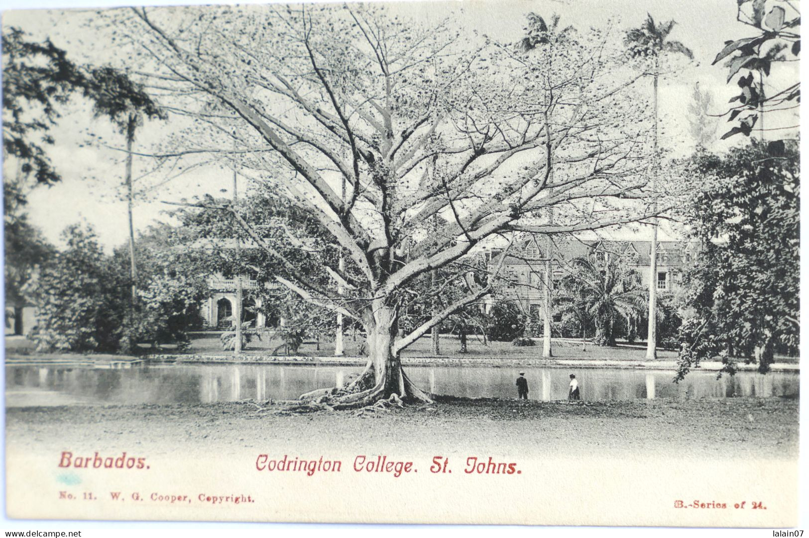 C. P. A. : BARBADOS : Codrington College, St Johns, Stamp In 1907 - Barbades