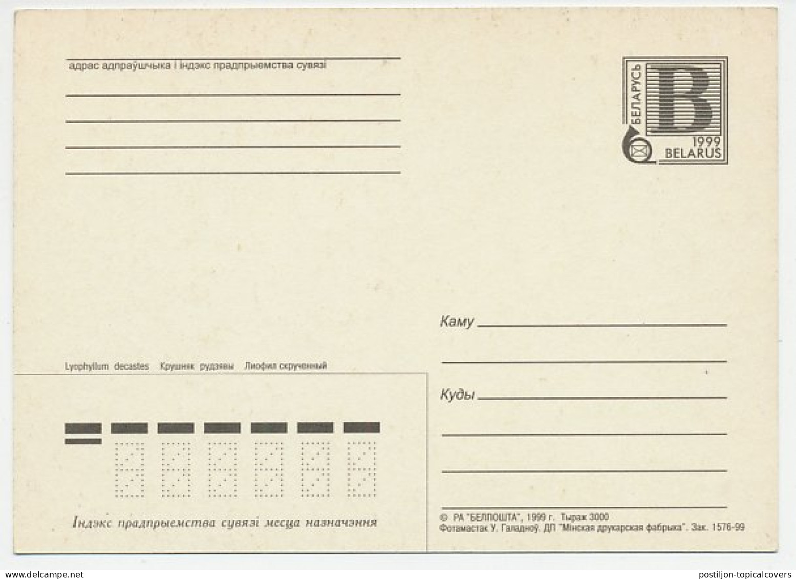 Postal Stationery Belarus 1999 Mushroom - Champignons