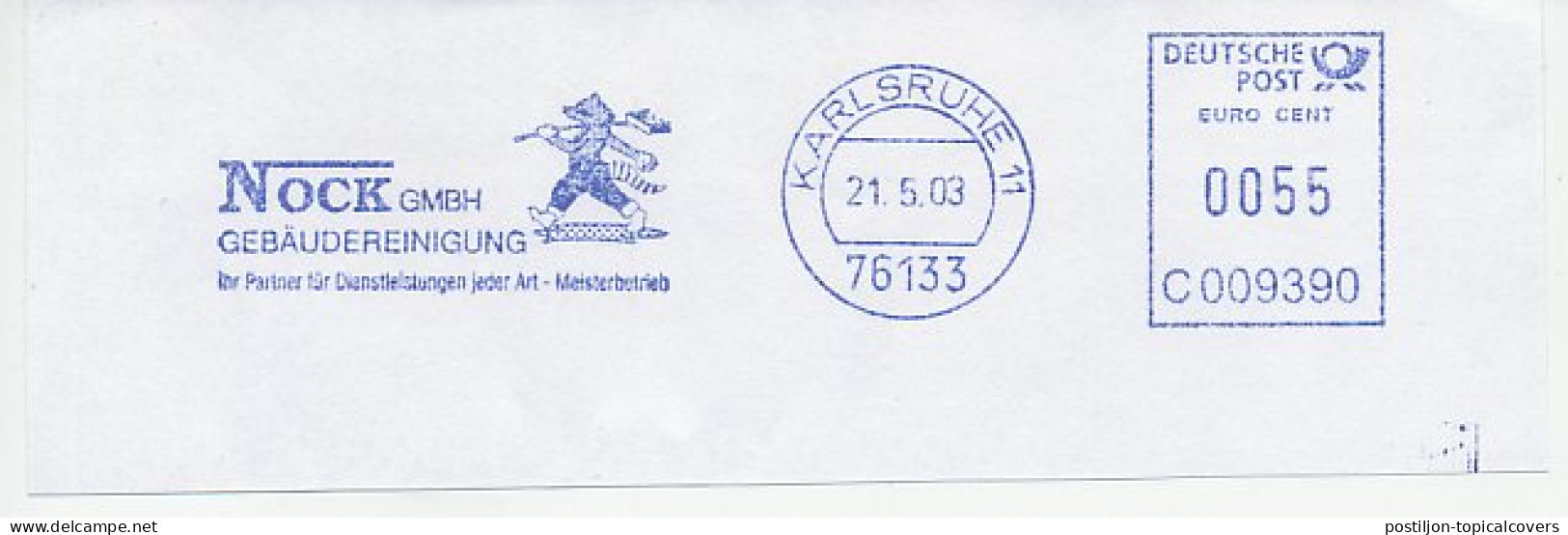 Meter Cut Germany 2003 Raccoon - Andere & Zonder Classificatie