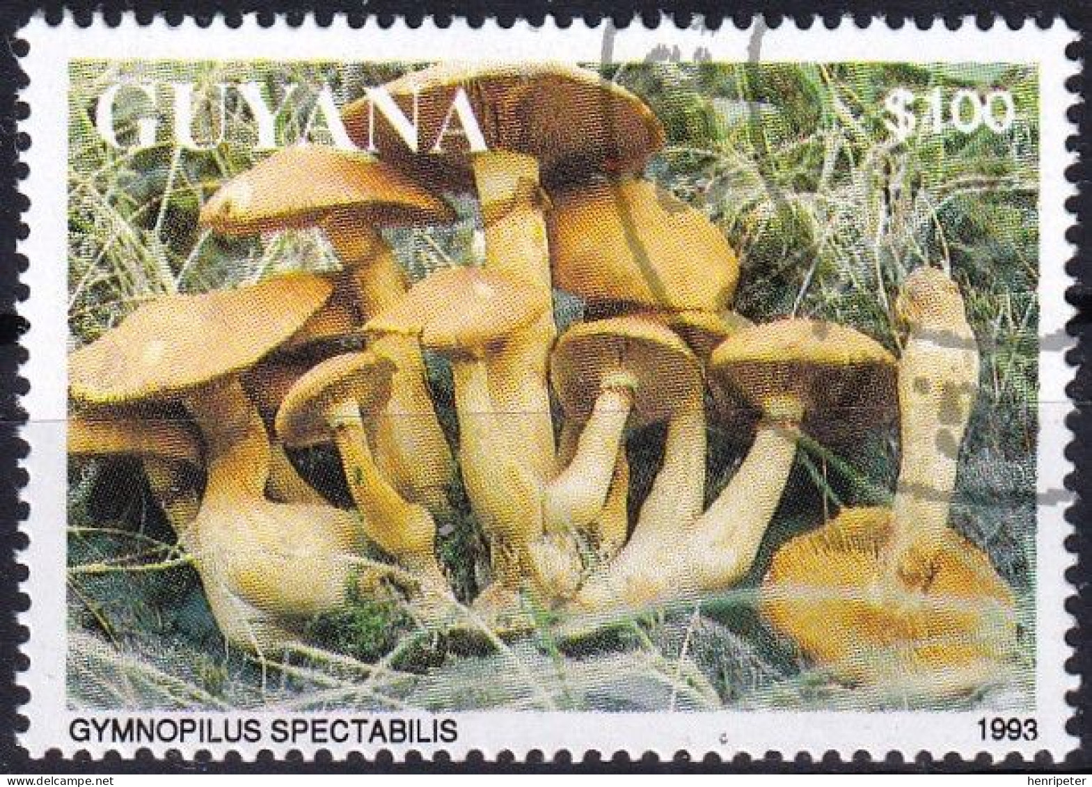 Timbre-poste Dentelé Oblitéré  Champignons Gymnopile Remarquable Gymnopilus Spectabilis - N° 4139 (Michel) - Guyana 1993 - Guyane (1966-...)