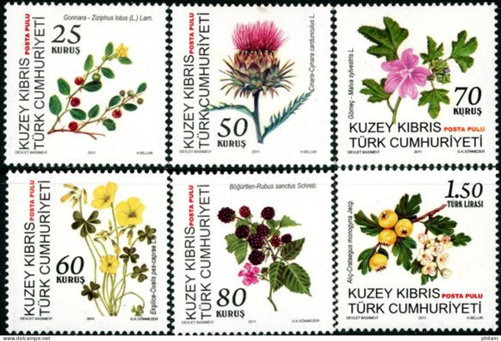 CHYPRE TURC 2011 - Plantes Et Fruits - 6 V. - Ungebraucht