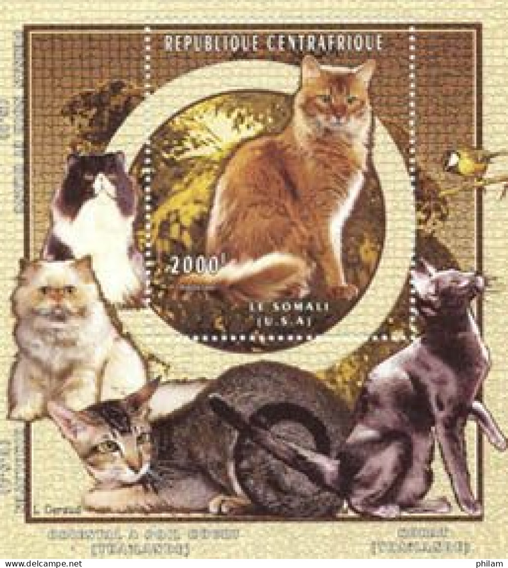 CENTRAFRIQUE 1997 - Chats De Race - Somali - Bloc - Domestic Cats