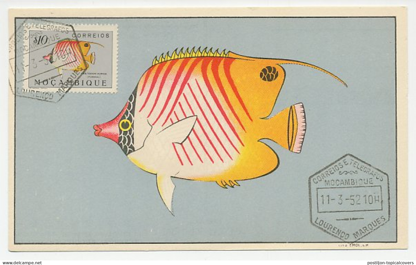 Maximum Card Mozambique 1952 Coral Fish - Fishes