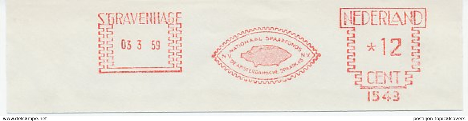 Meter Cut Netherlands 1959 Piggy Bank - Unclassified