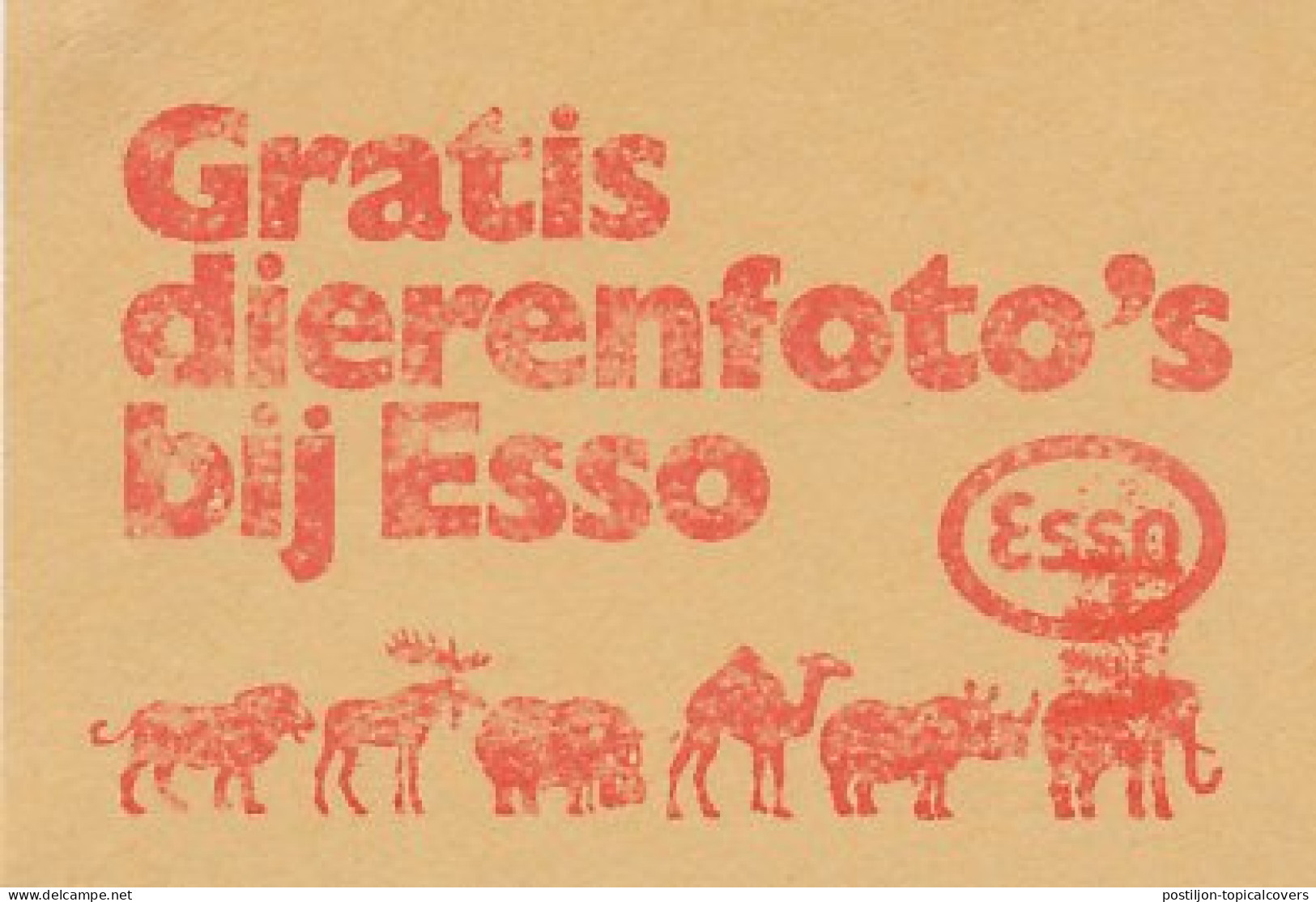 Meter Cut Netherlands 1972 Lion - Camel - Elk - Rhino - Hippopotamus / Elephant - Esso - Otros & Sin Clasificación