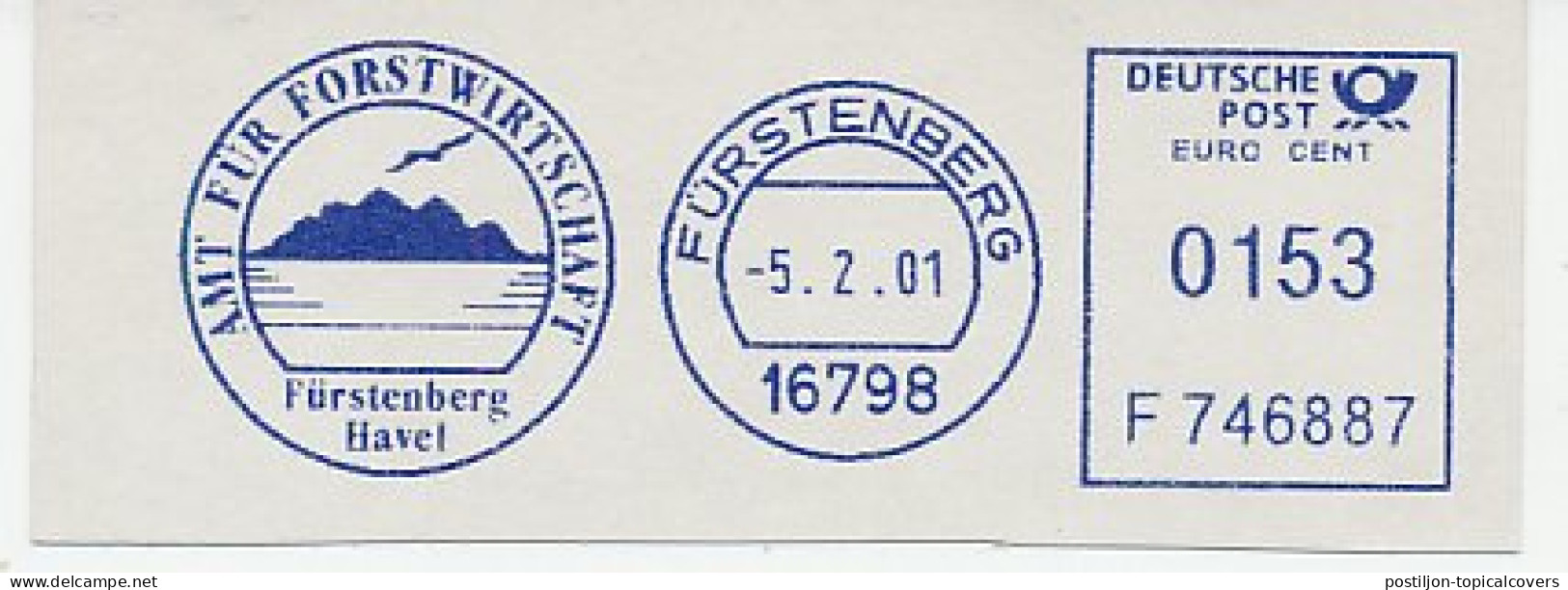 Meter Cut Germany 2001 Forestry - Furstenberg - Arbres