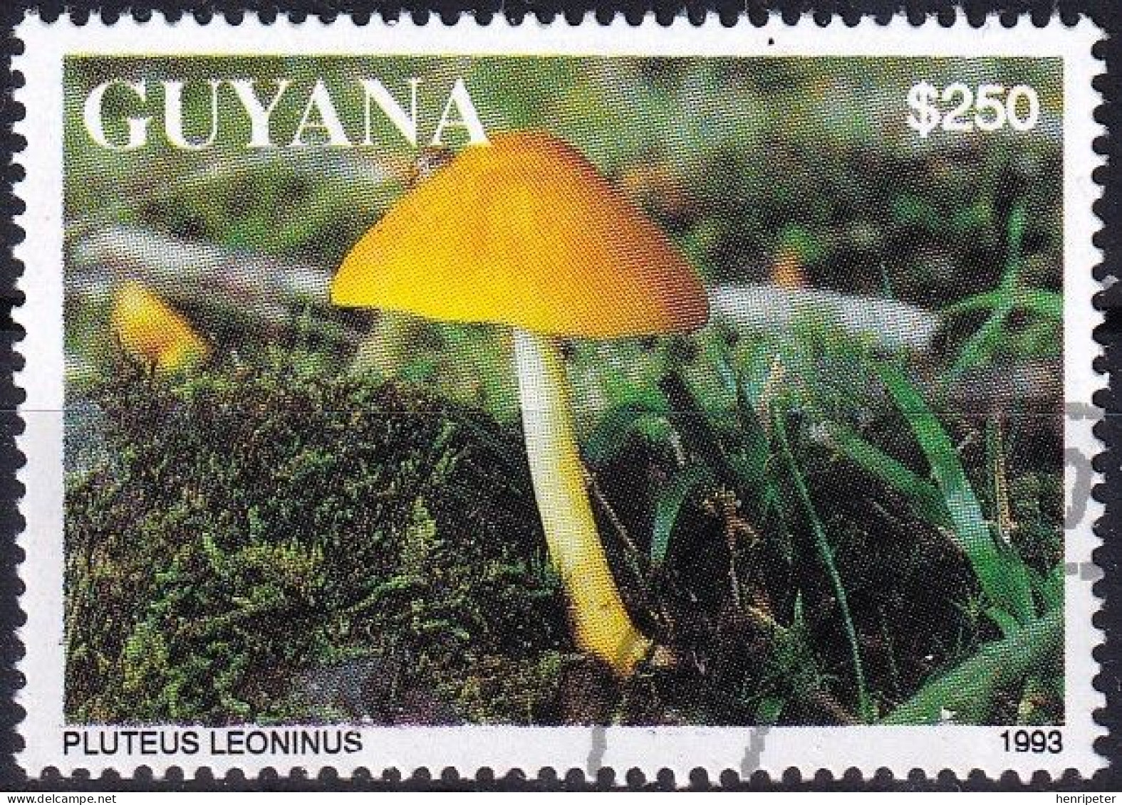 Timbre-poste Dentelé Oblitéré - Champignons Plutée Couleur De Lion Pluteus Leoninus - N° 4140 (Michel) - Guyana 1993 - Guiana (1966-...)