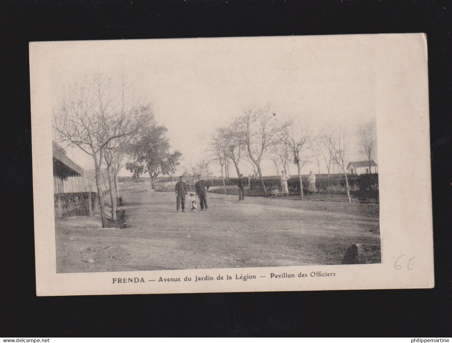 Algérie - Frenda : Avenue Du Jardin De La Légion - Pavillon Des Officiers - Autres & Non Classés