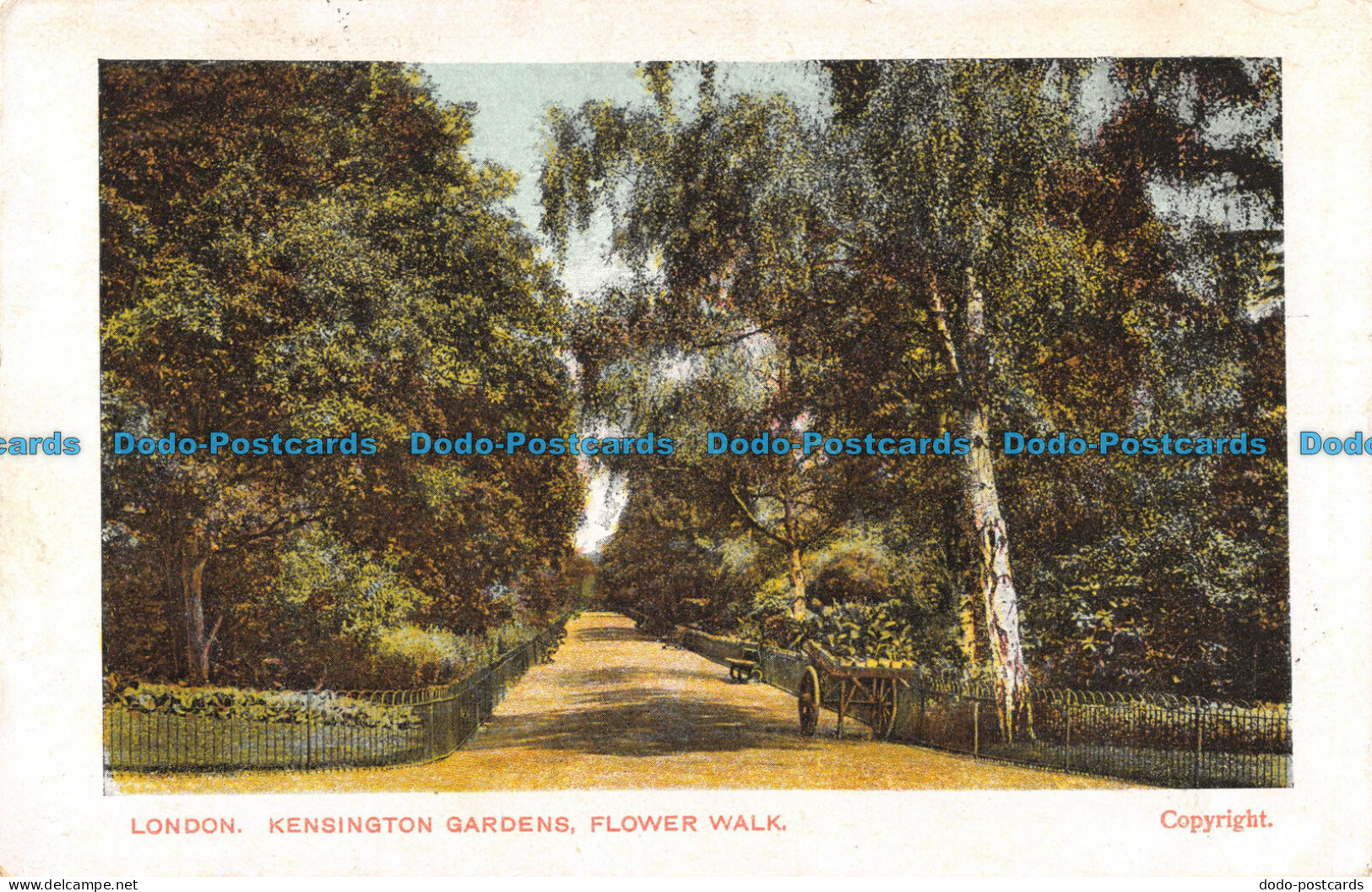 R095956 London. Kensington Gardens. Flower Walk. 1905 - Autres & Non Classés