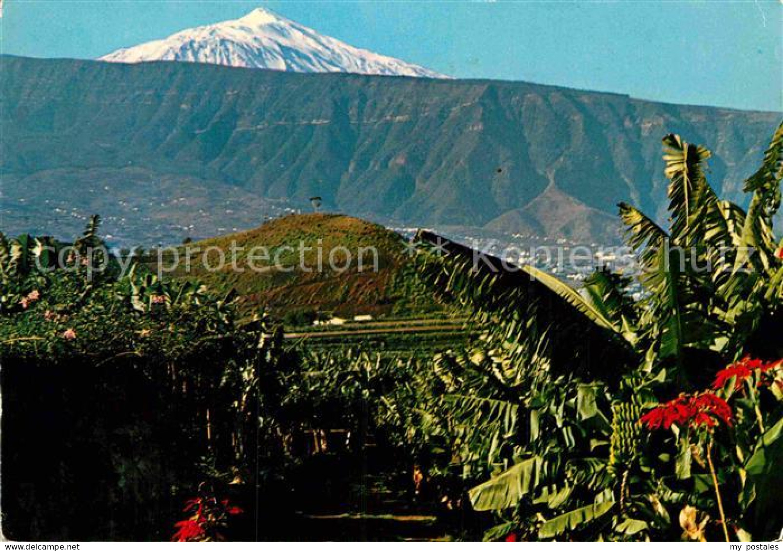 72894735 Puerto De La Cruz Panorama Mit Teide Puerto De La Cruz Tenerife - Other & Unclassified