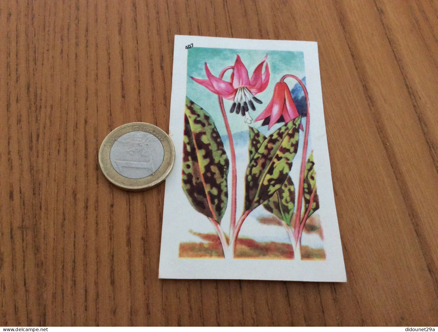 Chromo Francorusse N°407 "DENT DE CHIEN Ou ERYTHRONIUM" (fleur) - Andere & Zonder Classificatie