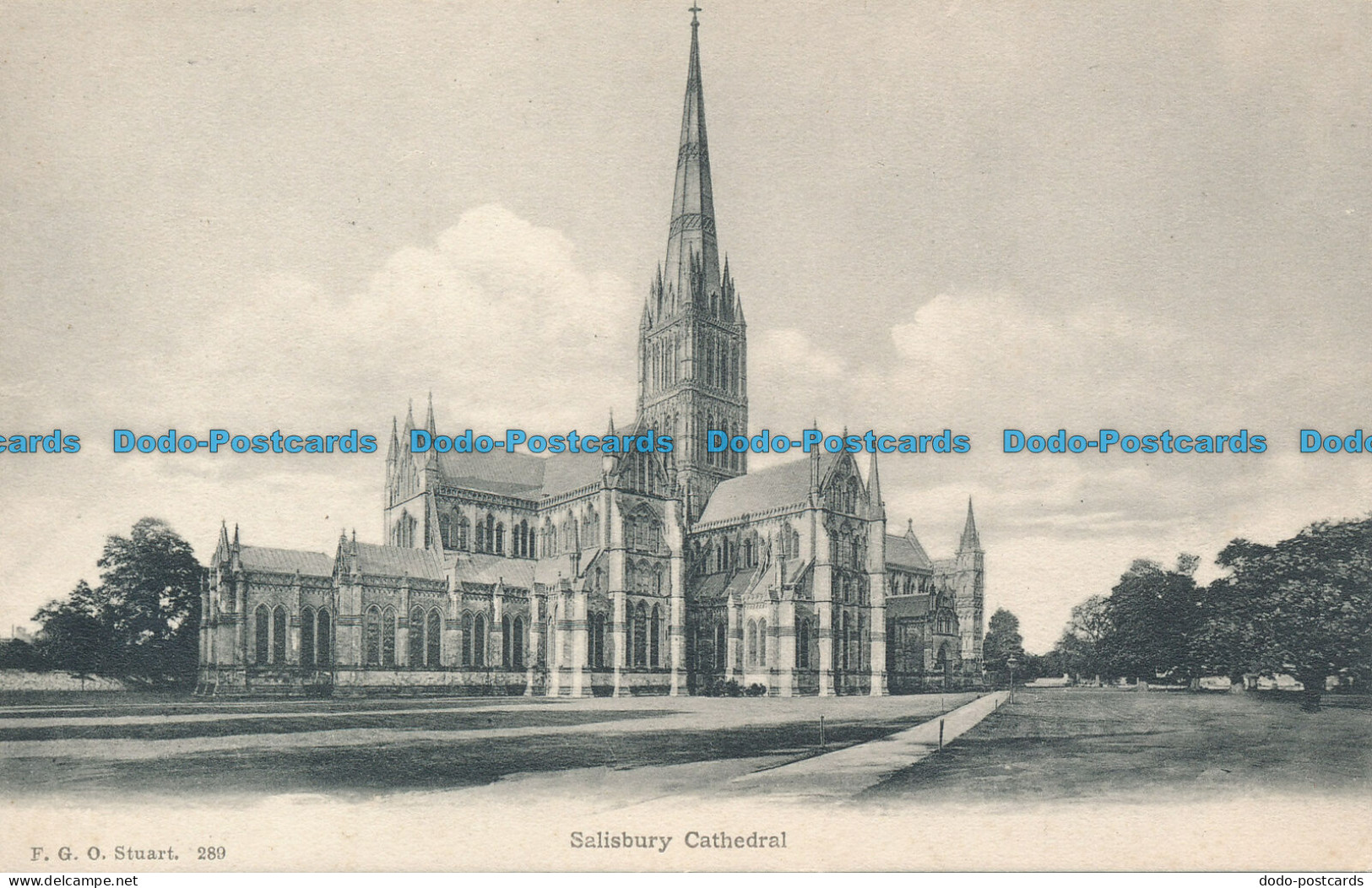 R096081 Salisbury Cathedral. F. G. O. Stuart. No 289 - Wereld