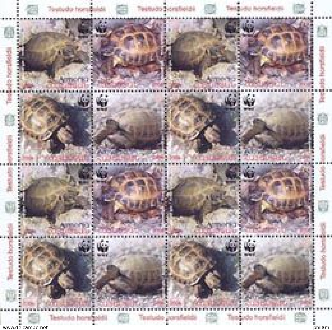 ARMENIE 2007 - Tortue Testudo Horsdieldi - Feuille De 4 Séries - Unused Stamps