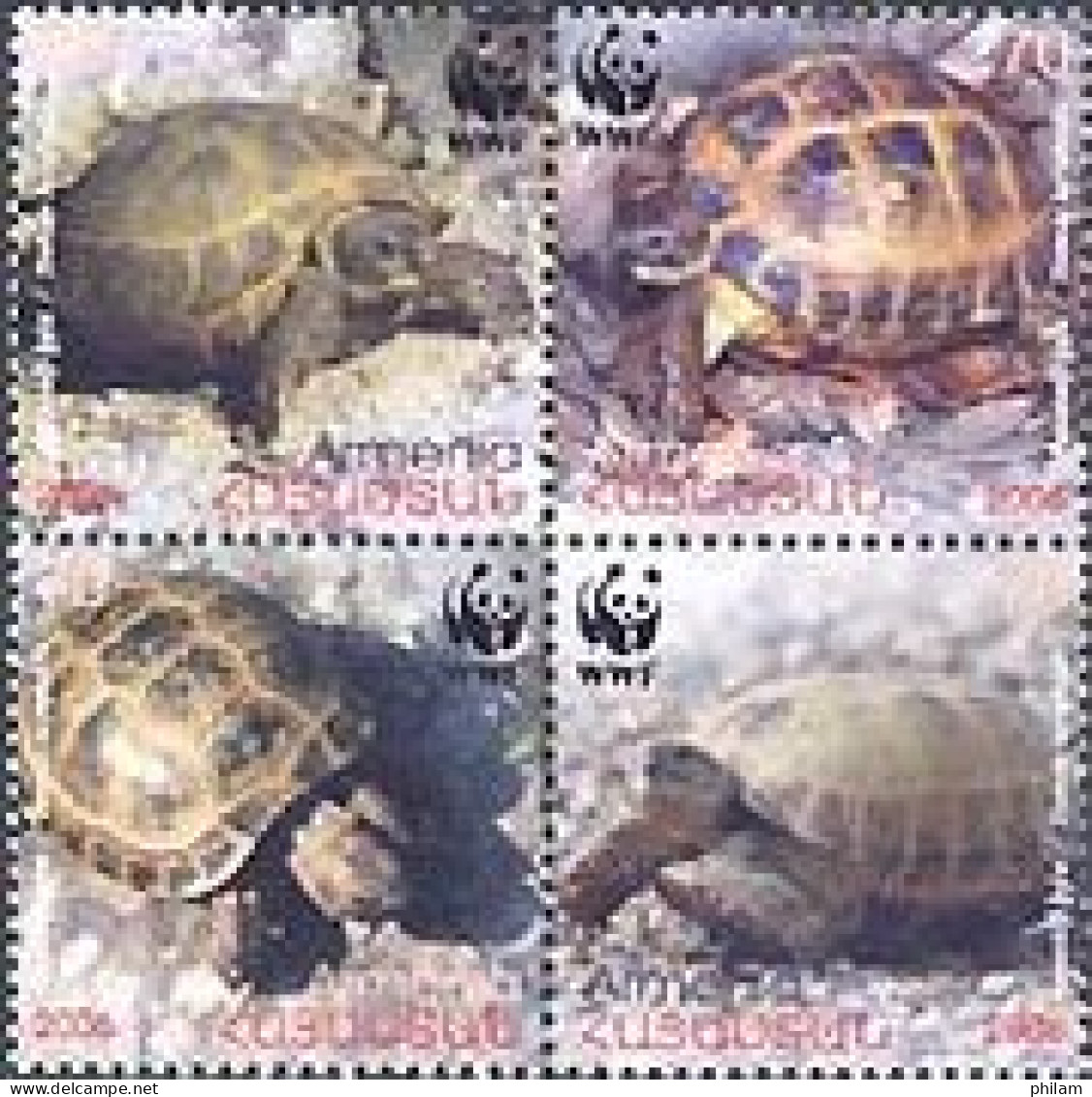 ARMENIE 2007 - Tortue Testudo Horsdieldi - 4 V. - Unused Stamps