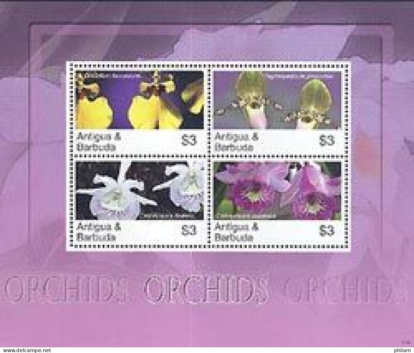 ANTIGUA & BARBUDA 2007 - Orchidées - Feuillet De 4 Timbres - Orquideas