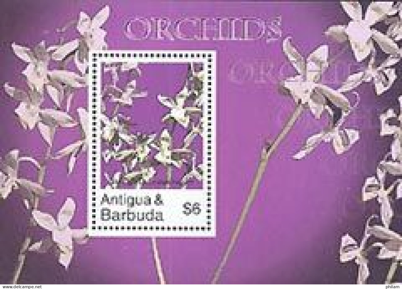 ANTIGUA & BARBUDA 2007 - Orchidées - Bloc Osmoglossum Pulchelum - Orquideas