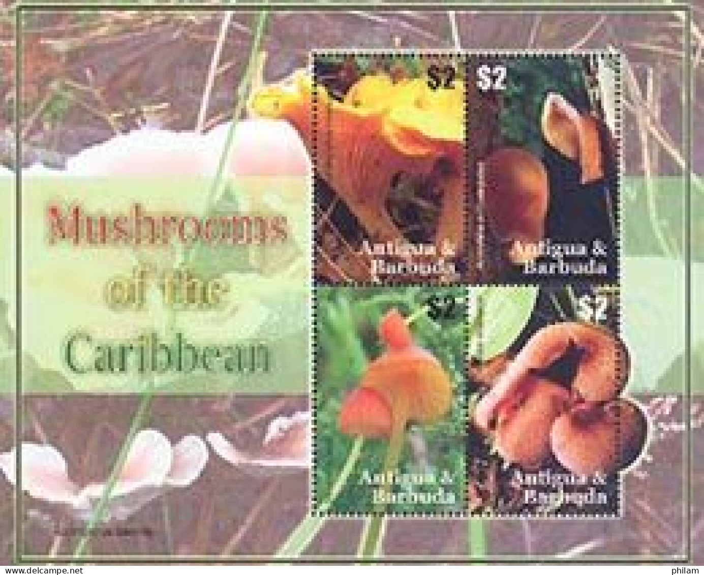 ANTIGUA & BARBUDA 2007 - Champignons - En Feuillet De 4 - Mushrooms