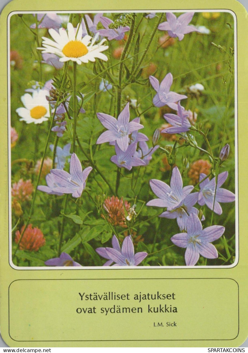 FLOWERS Vintage Ansichtskarte Postkarte CPSM #PBZ800.DE - Blumen