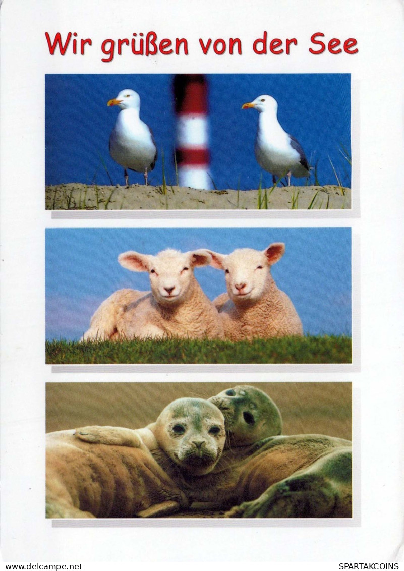 ARBEITSSPEICHER Tier Vintage Ansichtskarte Postkarte CPSM #PBS589.DE - Otros & Sin Clasificación