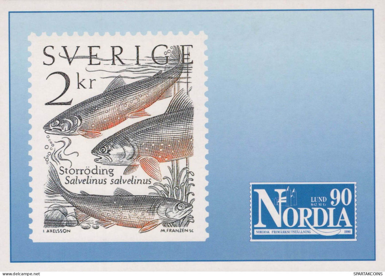 FISCH Tier Vintage Ansichtskarte Postkarte CPSM #PBS863.DE - Fische Und Schaltiere