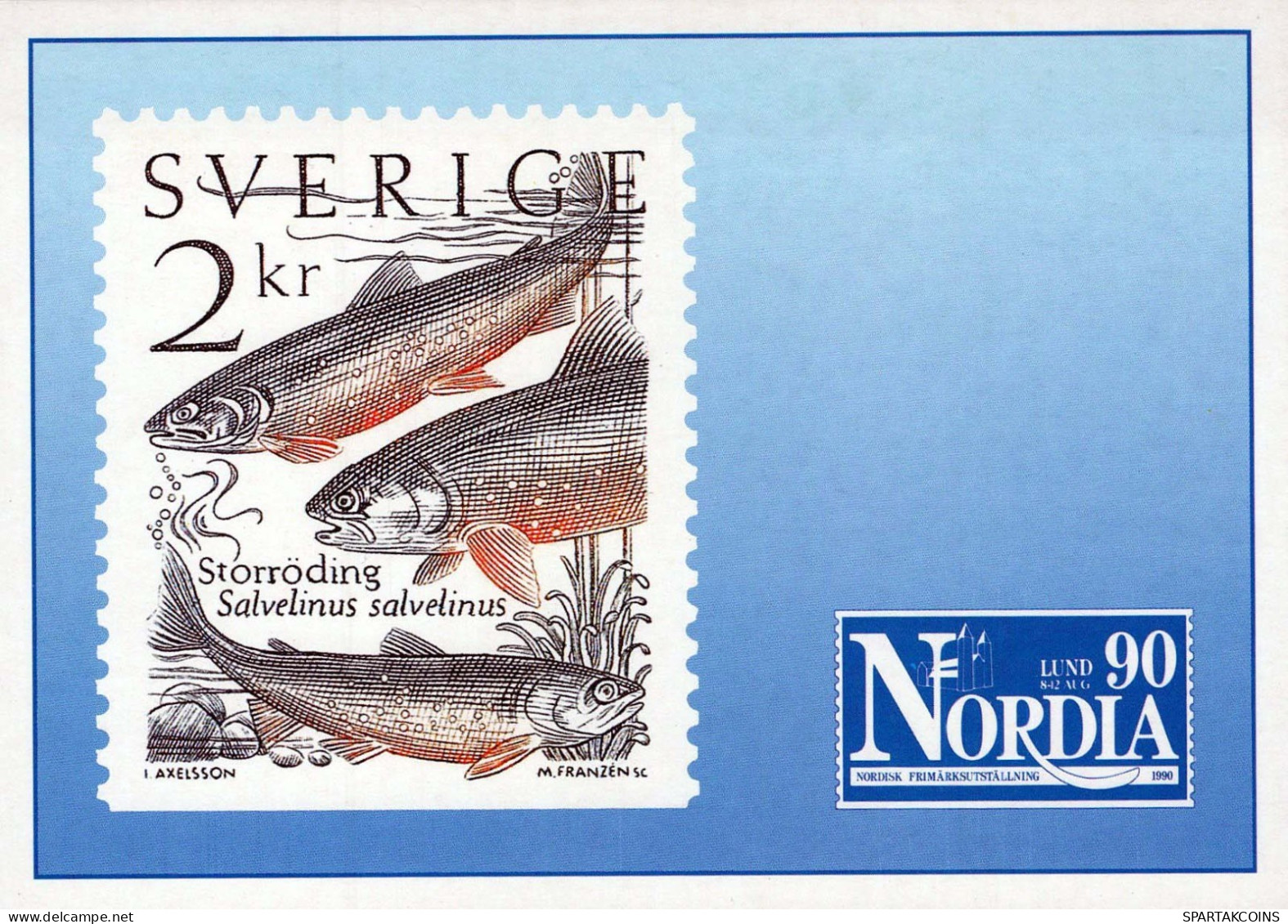 FISCH Tier Vintage Ansichtskarte Postkarte CPSM #PBS863.DE - Fische Und Schaltiere