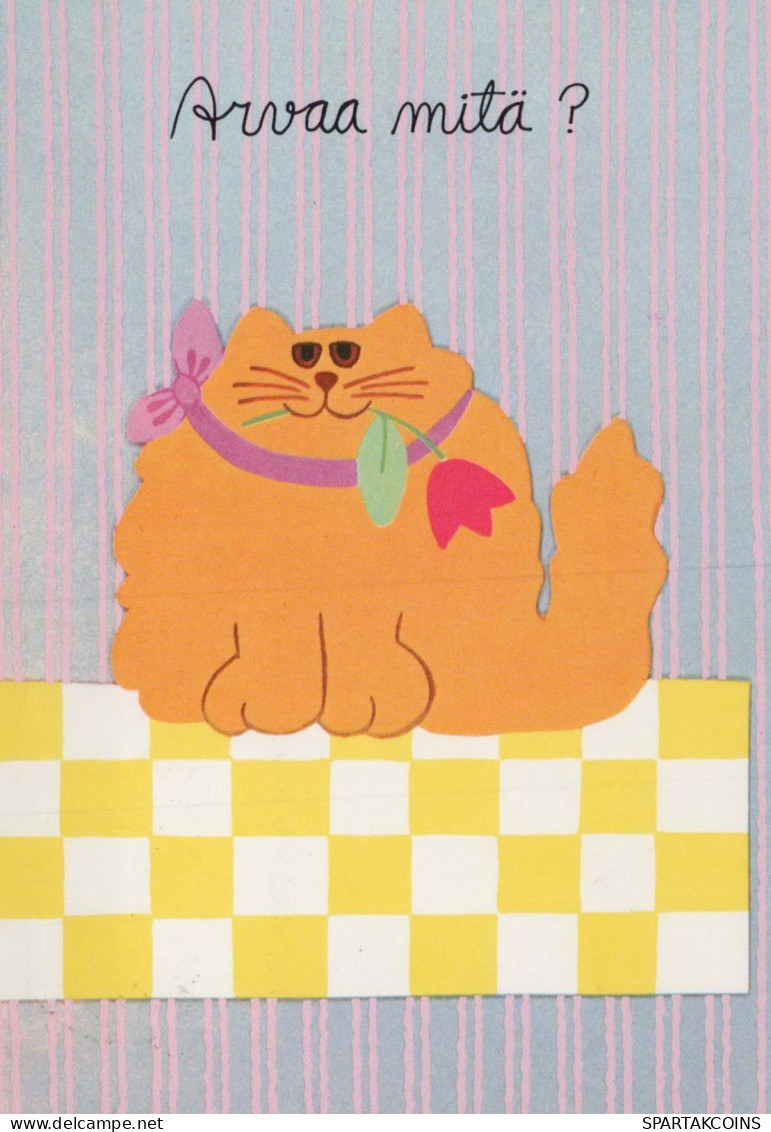 KATZE MIEZEKATZE Tier Vintage Ansichtskarte Postkarte CPSM #PBR025.DE - Cats