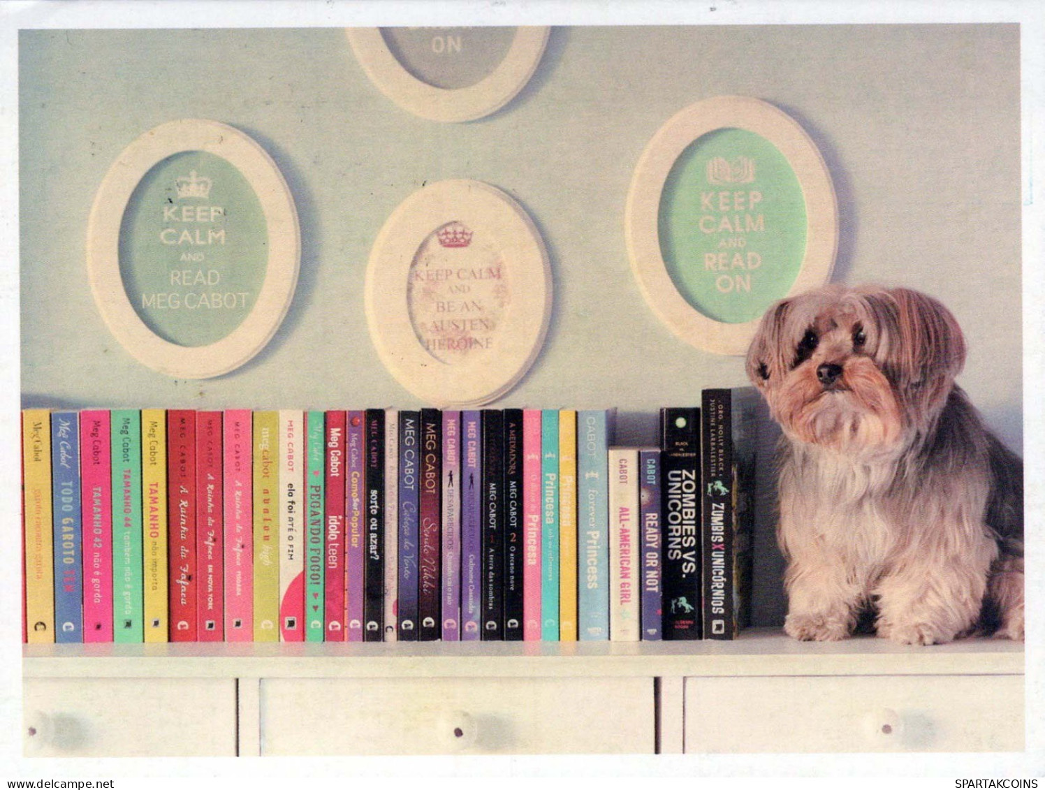 HUND Tier Vintage Ansichtskarte Postkarte CPSM #PBQ505.DE - Hunde