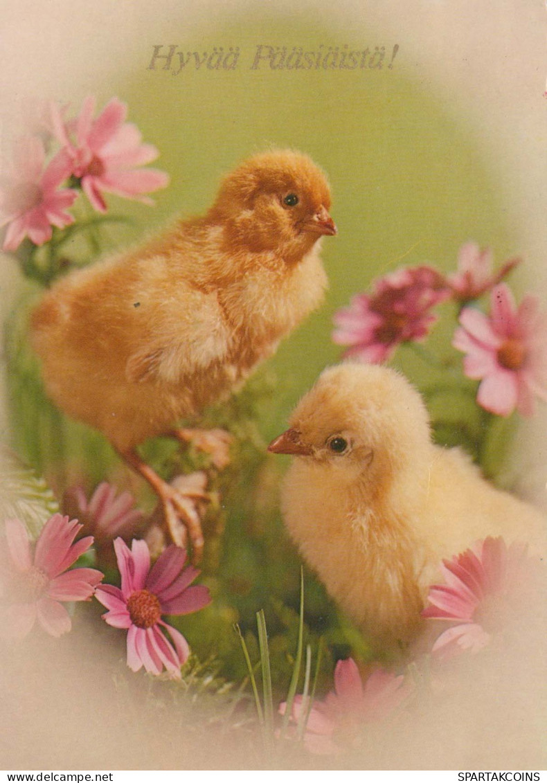 OSTERN HUHN EI Vintage Ansichtskarte Postkarte CPSM #PBP227.DE - Ostern