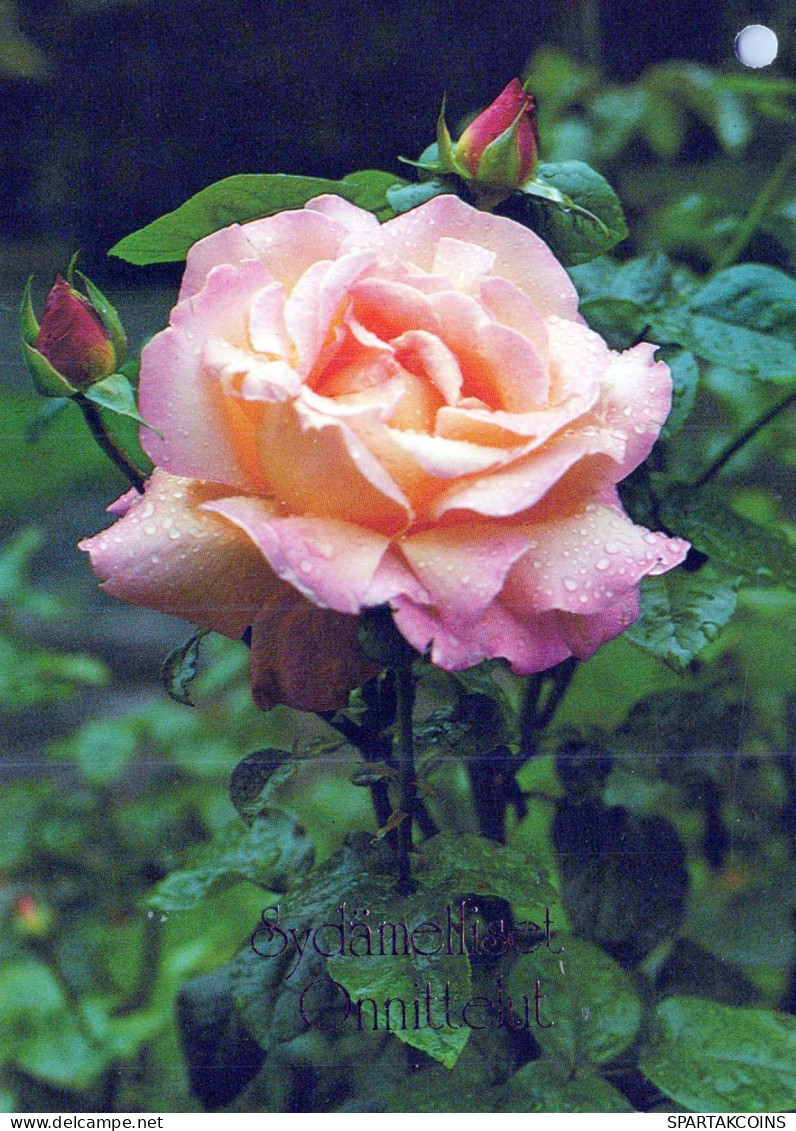 FLOWERS Vintage Ansichtskarte Postkarte CPSM #PAS271.DE - Fleurs