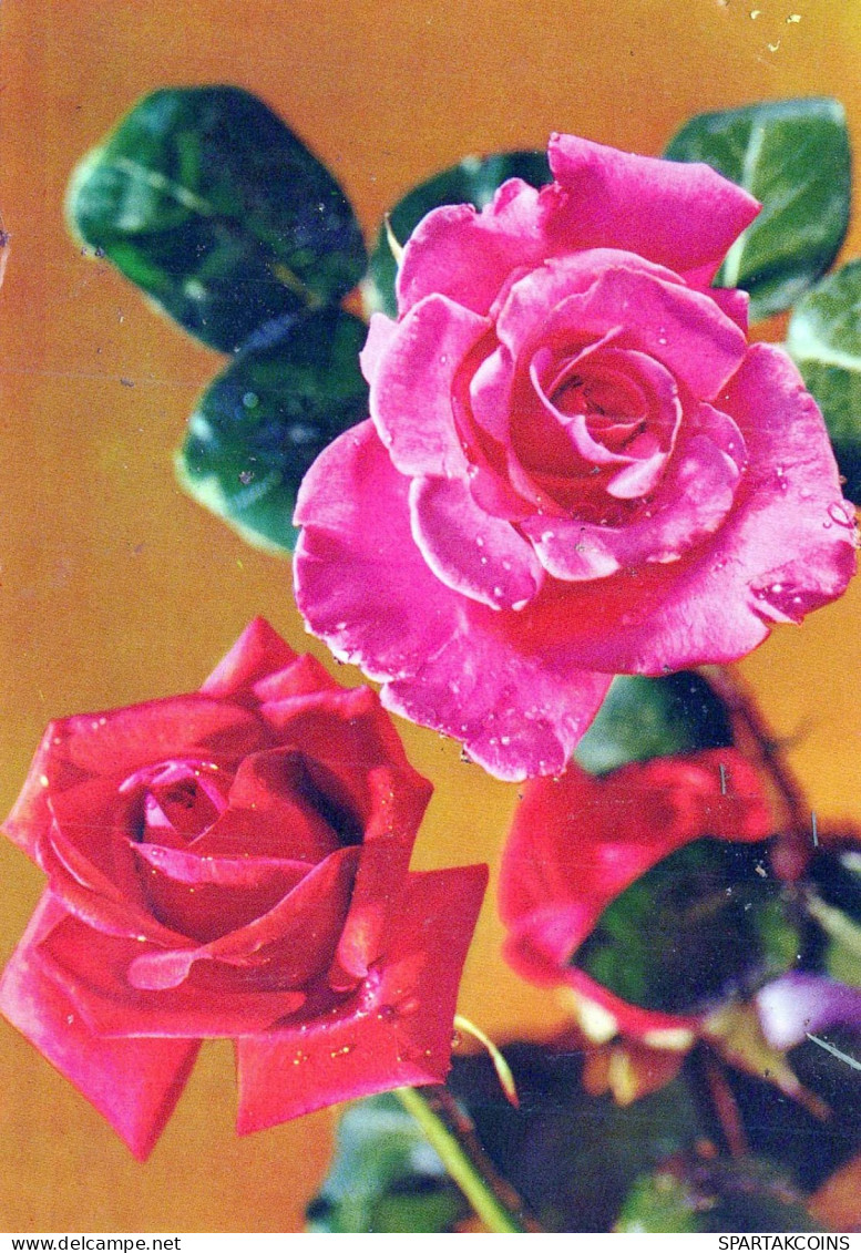 FLOWERS Vintage Ansichtskarte Postkarte CPSM #PAR910.DE - Bloemen