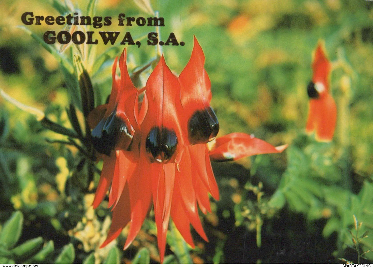 FLOWERS Vintage Ansichtskarte Postkarte CPSM #PAR370.DE - Flowers
