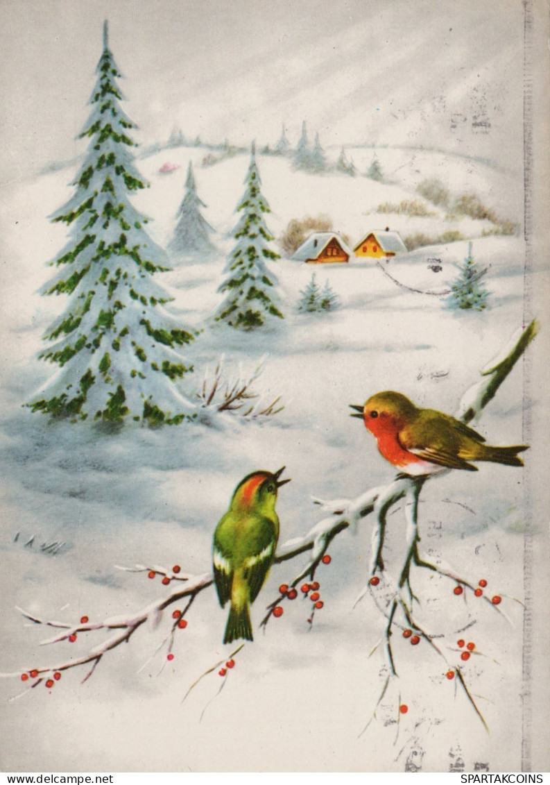 VOGEL Tier Vintage Ansichtskarte Postkarte CPSM #PAM924.DE - Pájaros