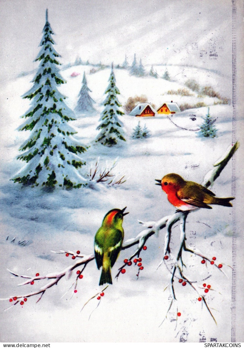 VOGEL Tier Vintage Ansichtskarte Postkarte CPSM #PAM924.DE - Birds