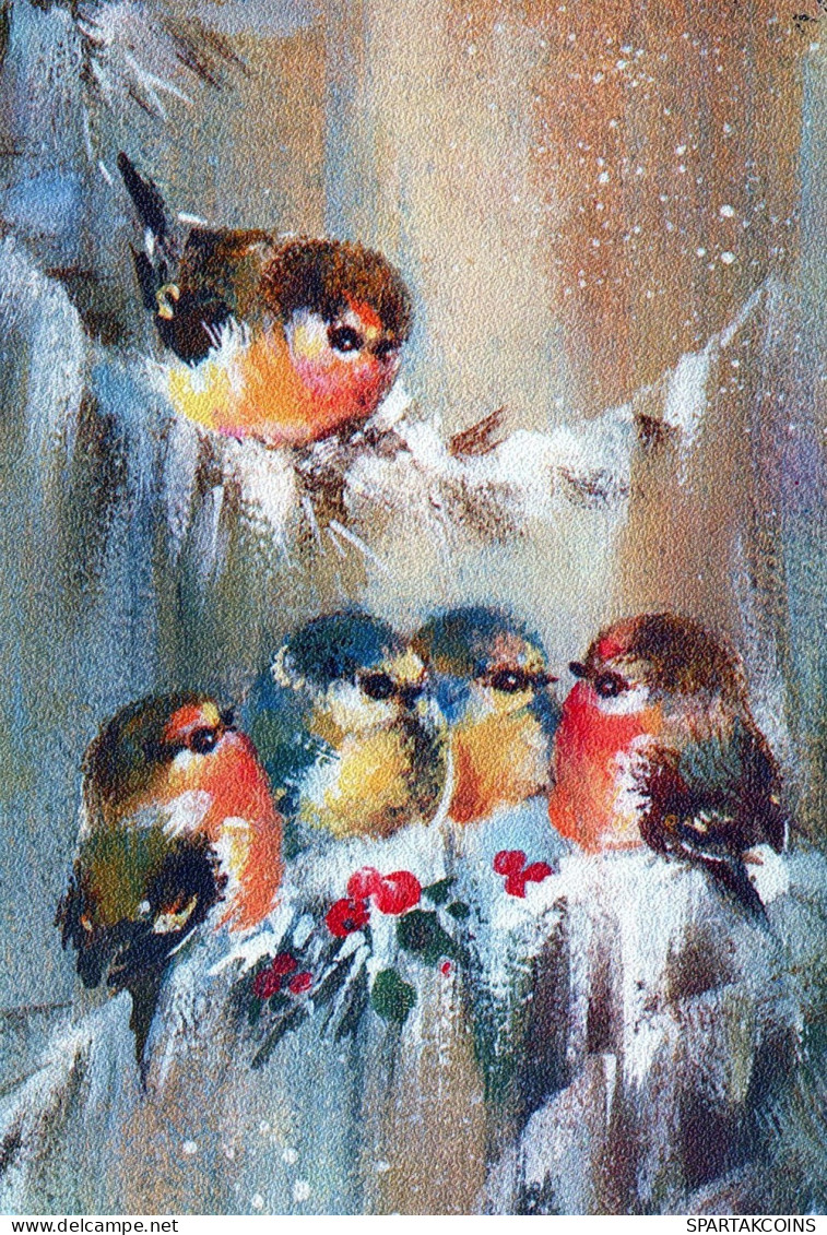 VOGEL Tier Vintage Ansichtskarte Postkarte CPSM #PAM800.DE - Pájaros