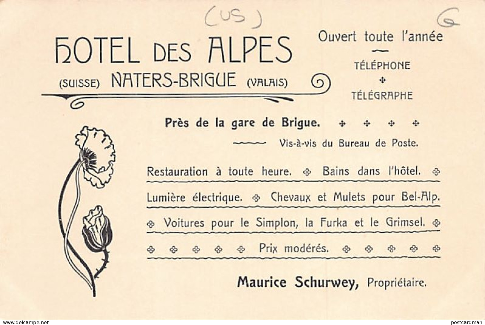 Suisse - Naters (VS) Hôtel Des Alpes - Carte Publicitaire - Ed. Inconnu  - Naters