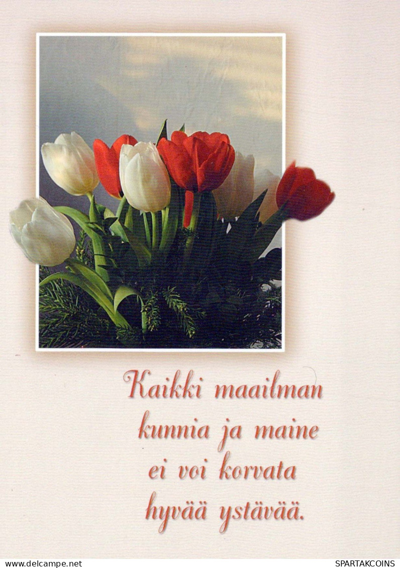 FLORES Vintage Tarjeta Postal CPSM #PBZ738.ES - Flowers