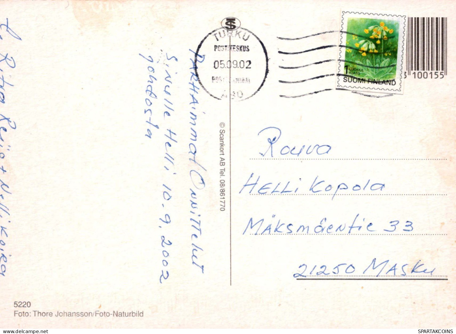 FLORES Vintage Tarjeta Postal CPSM #PBZ798.ES - Fleurs