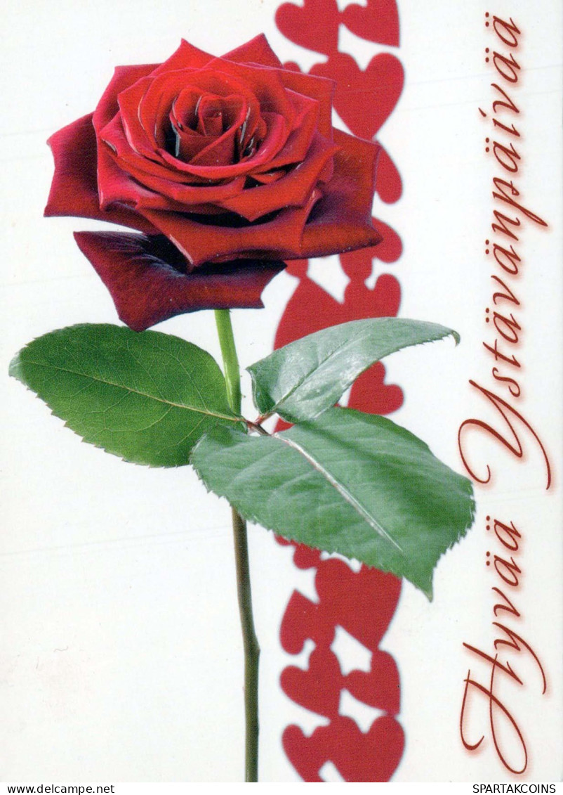 FLORES Vintage Tarjeta Postal CPSM #PBZ860.ES - Fleurs