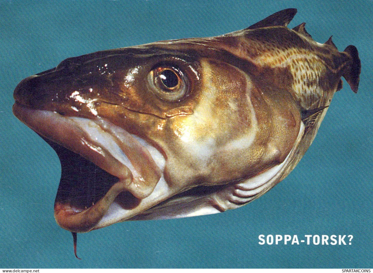 PESCADO Animales Vintage Tarjeta Postal CPSM #PBS861.ES - Fische Und Schaltiere