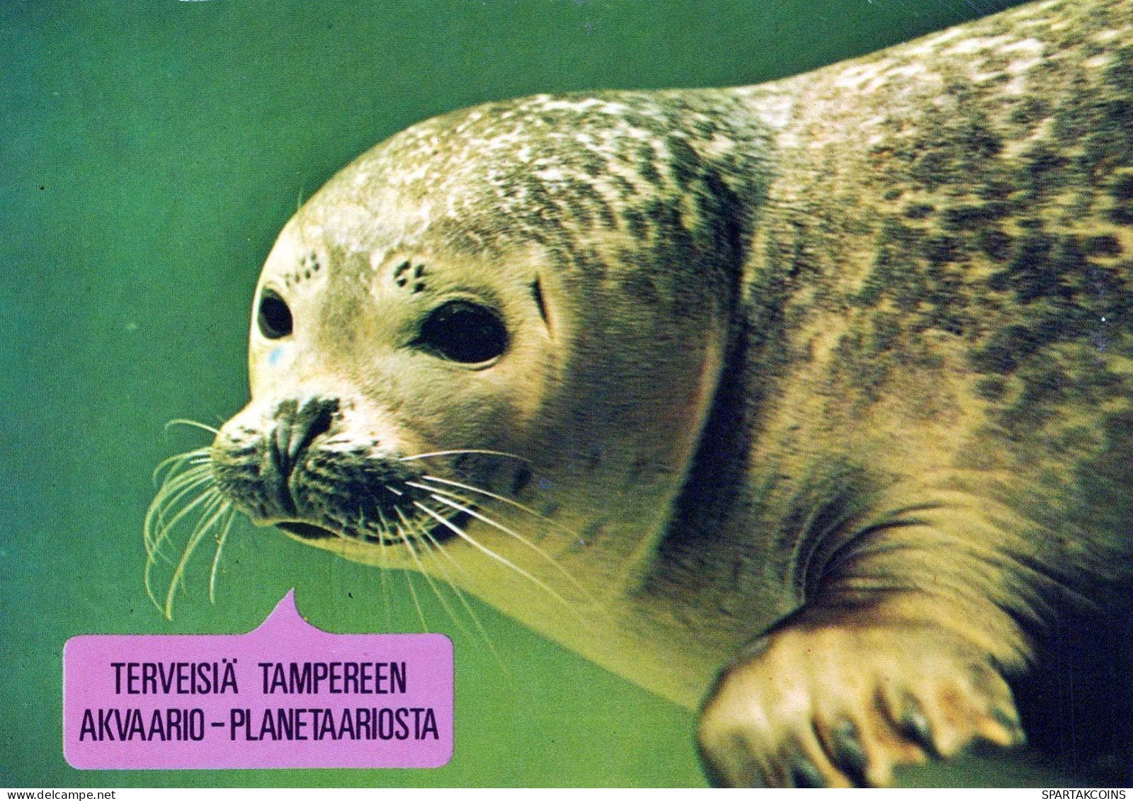SELLO Animales Vintage Tarjeta Postal CPSM #PBS647.ES - Other & Unclassified