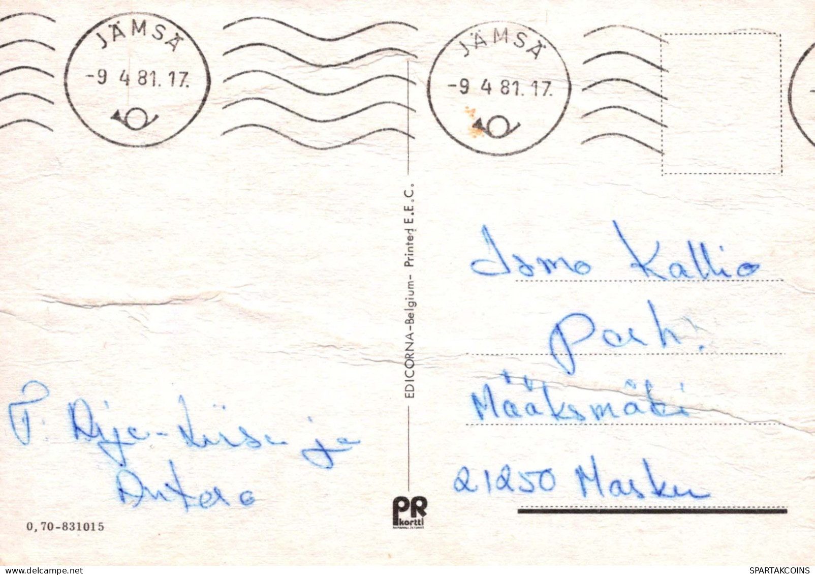 PASCUA POLLO HUEVO Vintage Tarjeta Postal CPSM #PBP103.ES - Ostern