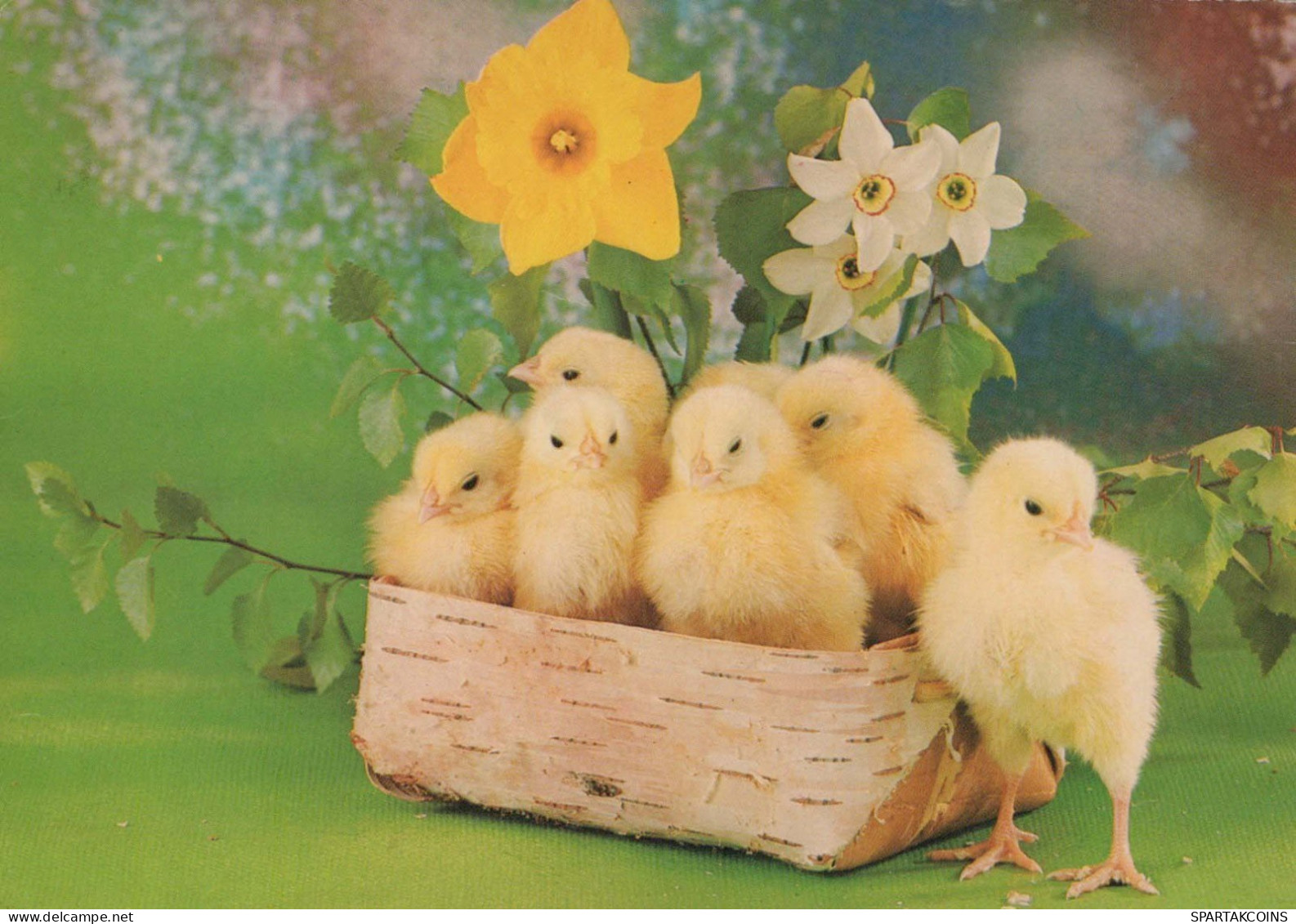 PASCUA POLLO Vintage Tarjeta Postal CPSM #PBO974.ES - Ostern