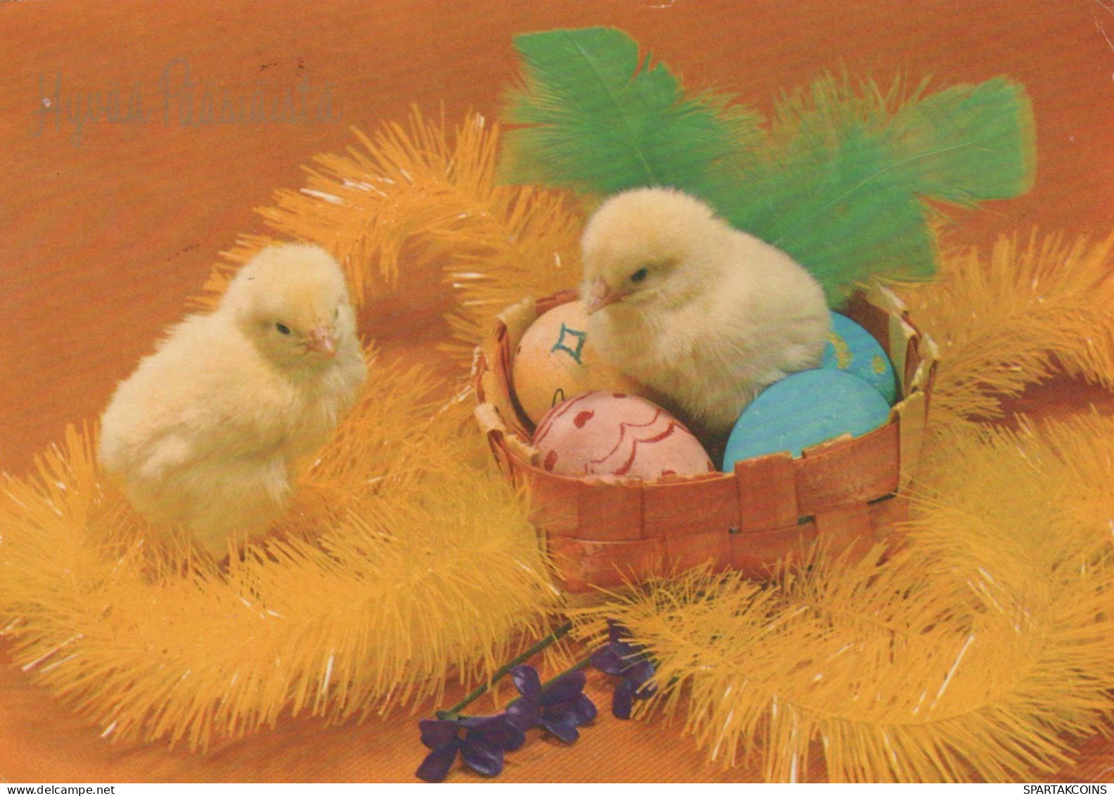 PASCUA POLLO HUEVO Vintage Tarjeta Postal CPSM #PBO912.ES - Easter