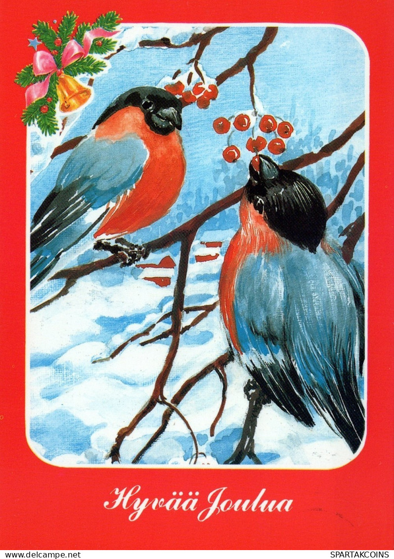 PÁJARO Animales Vintage Tarjeta Postal CPSM #PAM922.ES - Pájaros