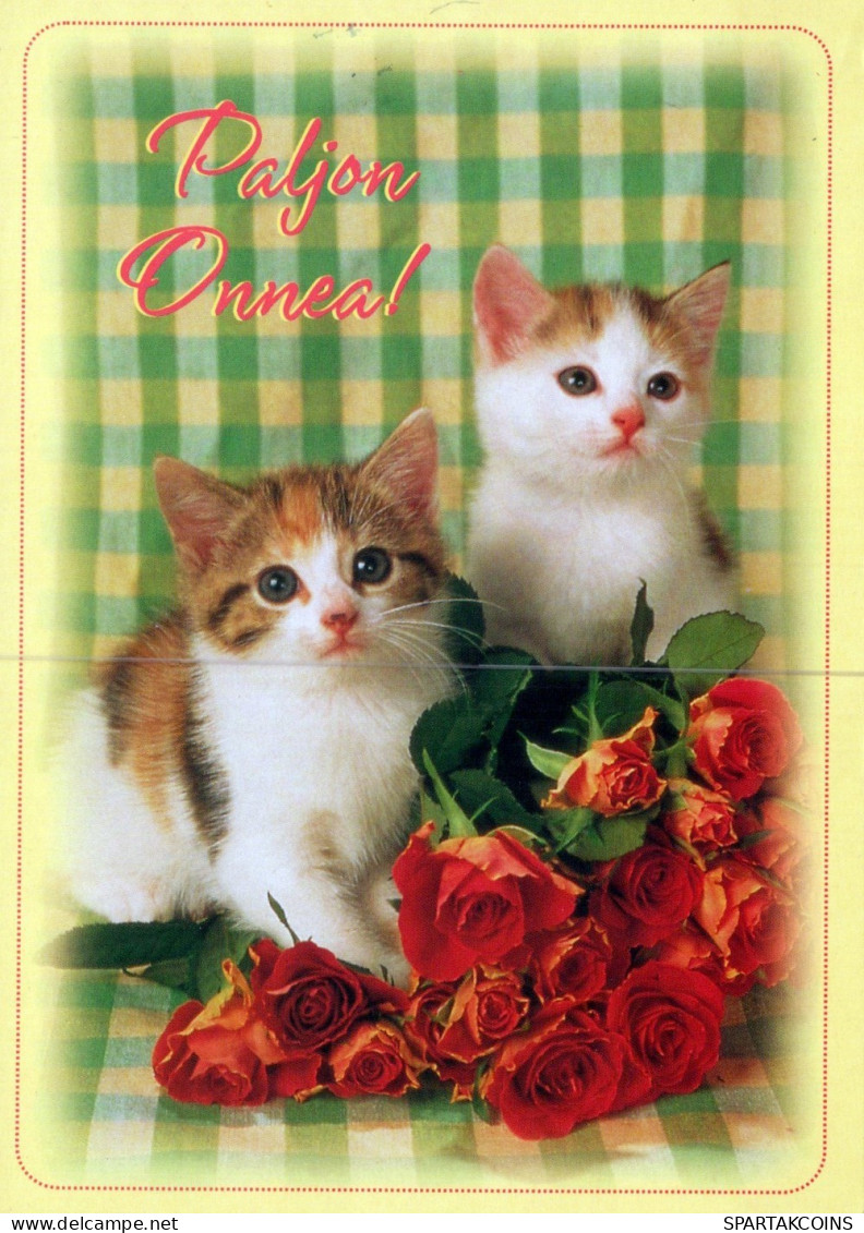 GATO GATITO Animales Vintage Tarjeta Postal CPSM #PAM291.ES - Cats