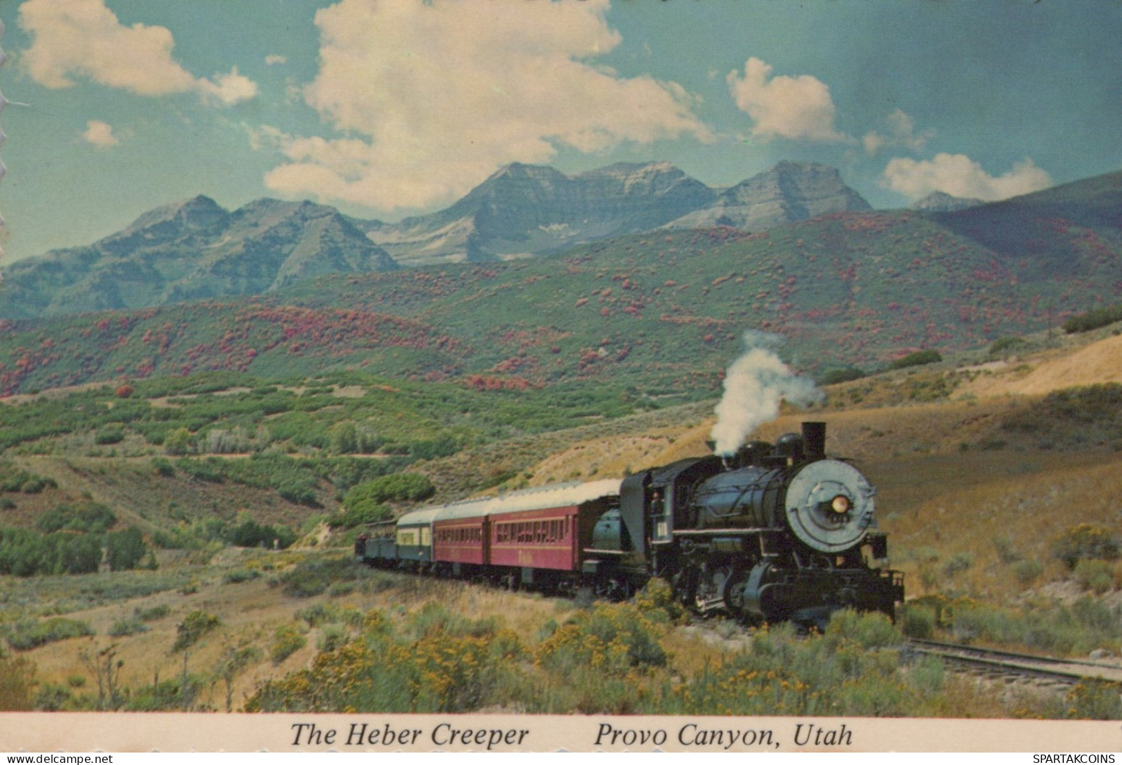 TREN TRANSPORTE Ferroviario Vintage Tarjeta Postal CPSM #PAA809.ES - Treni