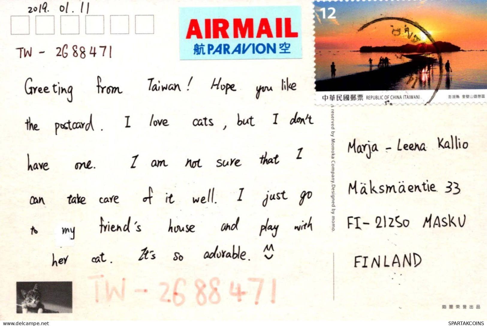 CHAT Vintage Carte Postale CPSMPF #PKG902.FR - Cats